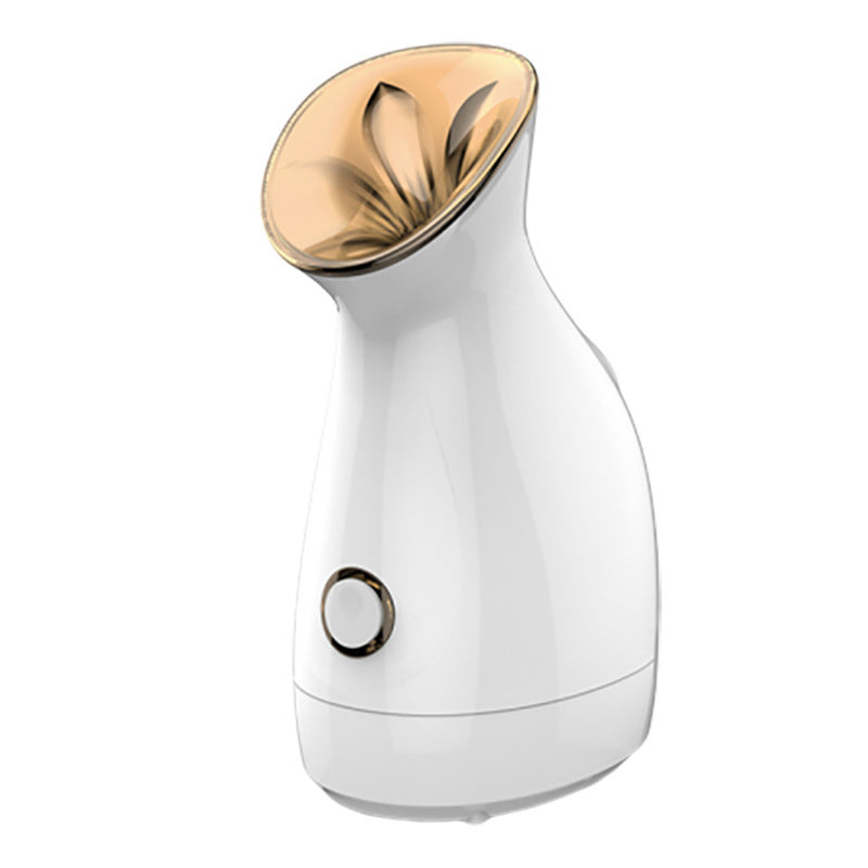 Nano Ion Water Supply Device for Skin Hydration.