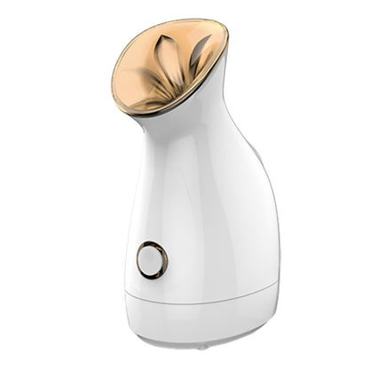 Nano Ion Water Supply Device for Skin Hydration.